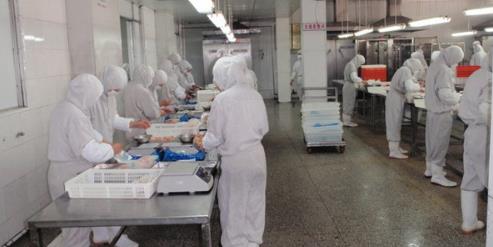 食品廠工作服人員工作中